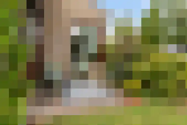 Tialling van Eysingawei 3 Marsum thumbnail 12