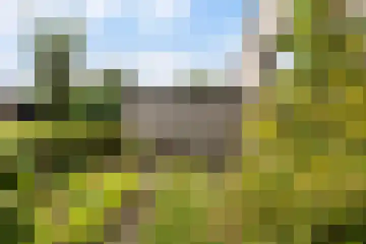 Tialling van Eysingawei 3 Marsum thumbnail 13
