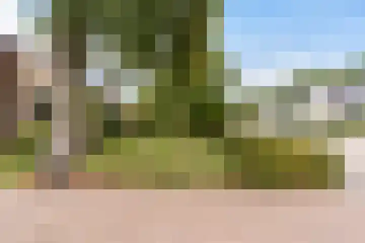 Tialling van Eysingawei 3 Marsum thumbnail 14