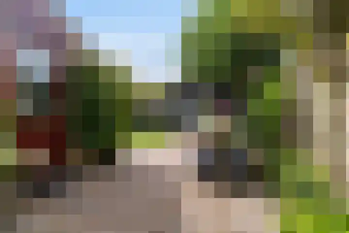 Tialling van Eysingawei 3 Marsum thumbnail 33