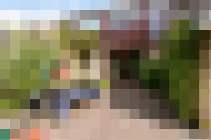 Tialling van Eysingawei 3 Marsum thumbnail 39