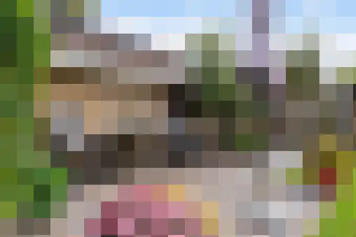 Tialling van Eysingawei 3 Marsum thumbnail 40