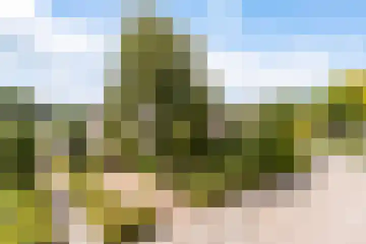 Tialling van Eysingawei 3 Marsum thumbnail 7