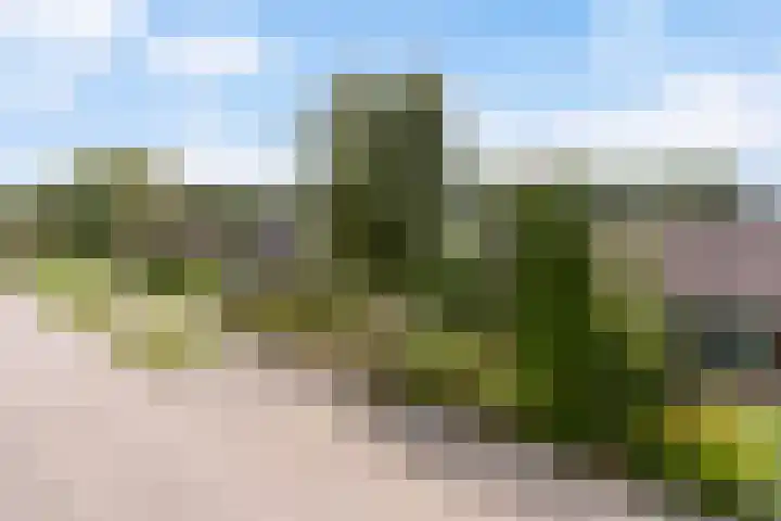 Tialling van Eysingawei 3 Marsum thumbnail 8