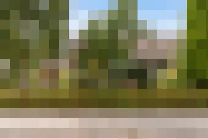 Tialling van Eysingawei 3 Marsum thumbnail 9