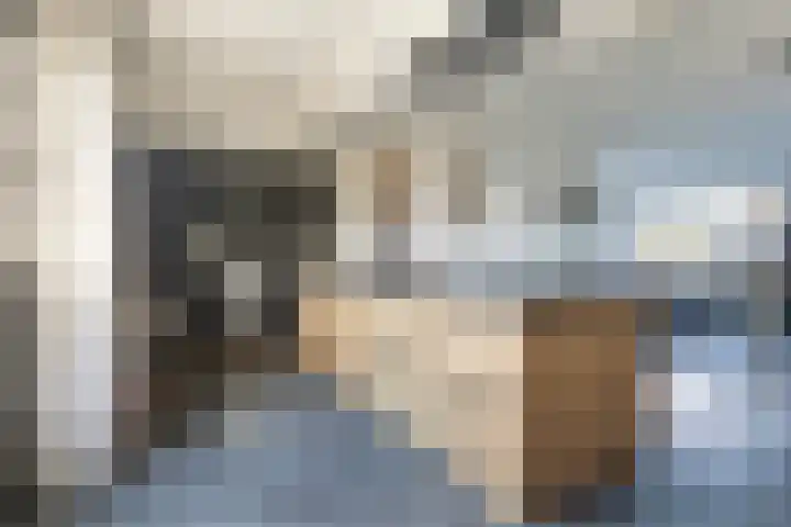 Ticeline 23 Kollum thumbnail 14