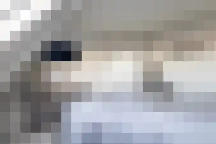 Ticeline 23 Kollum thumbnail 26