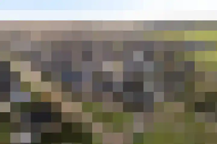 Ticeline 23 Kollum thumbnail 4