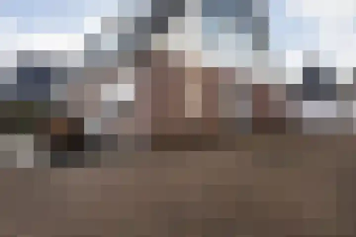 Ticeline 23 Kollum thumbnail 41