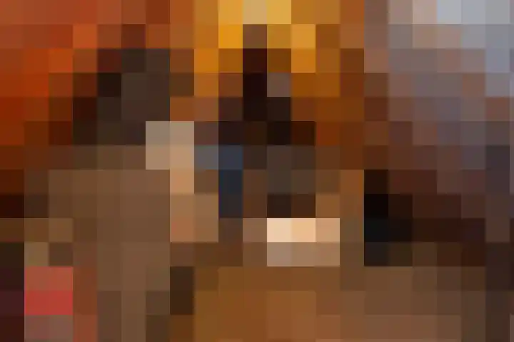 Ticeline 23 Kollum thumbnail 46