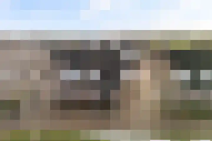 Ticeline 23 Kollum thumbnail 51