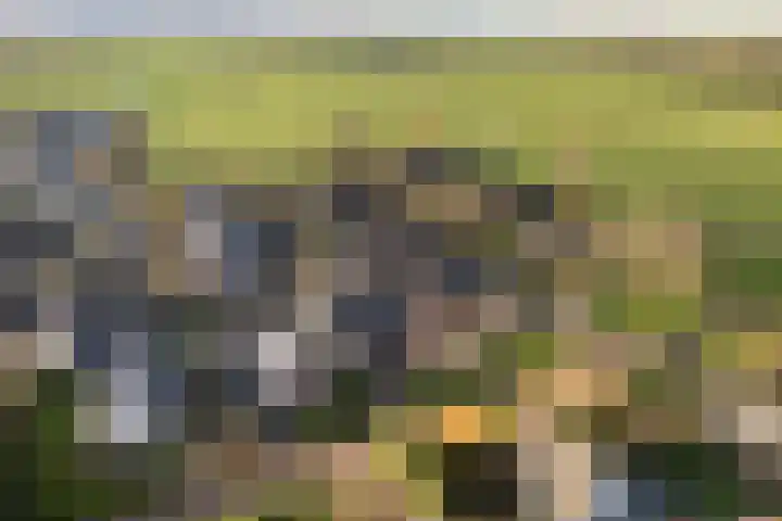 Ticeline 23 Kollum thumbnail 53