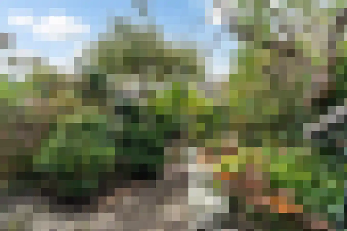 Tichelberg 26 Zoetermeer thumbnail 29
