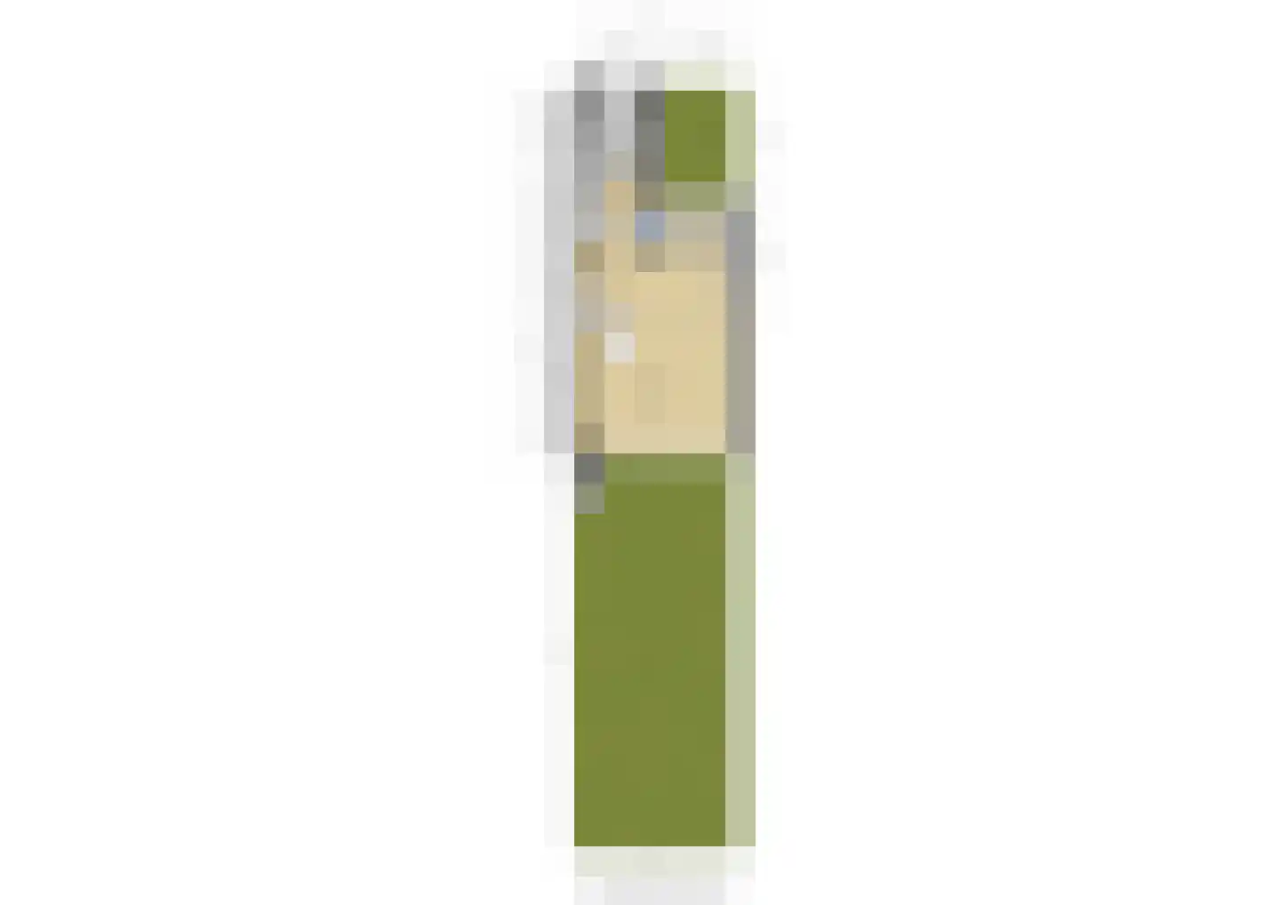 Tichelberg 26 Zoetermeer thumbnail 34