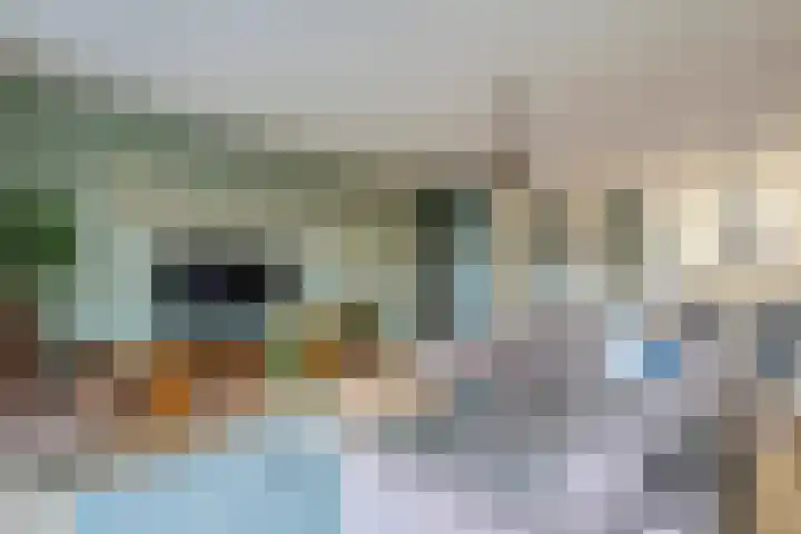 Ticheldreef 103 Druten thumbnail 10
