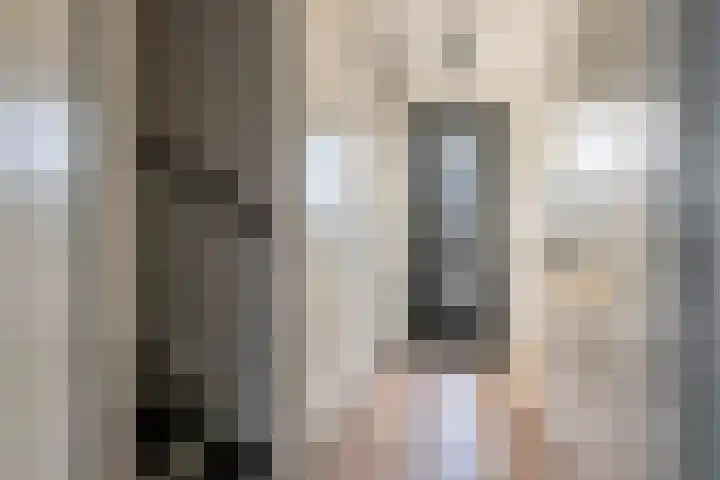 Ticheldreef 103 Druten thumbnail 12