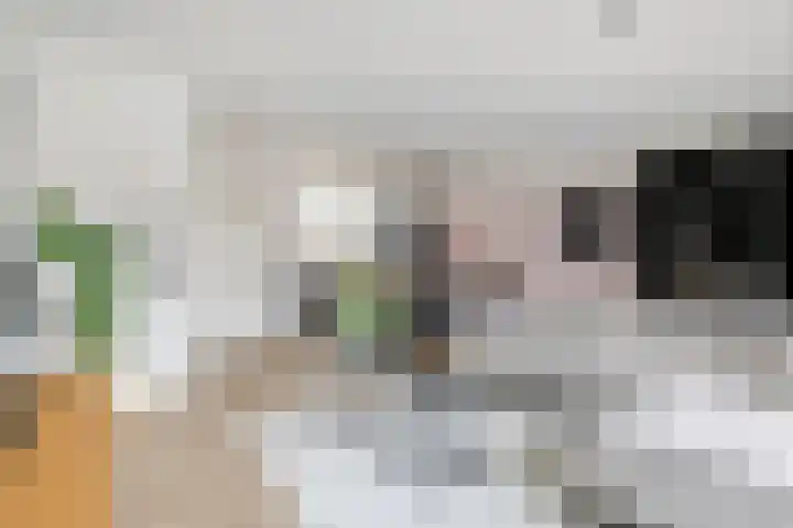 Ticheldreef 89 Druten thumbnail 13