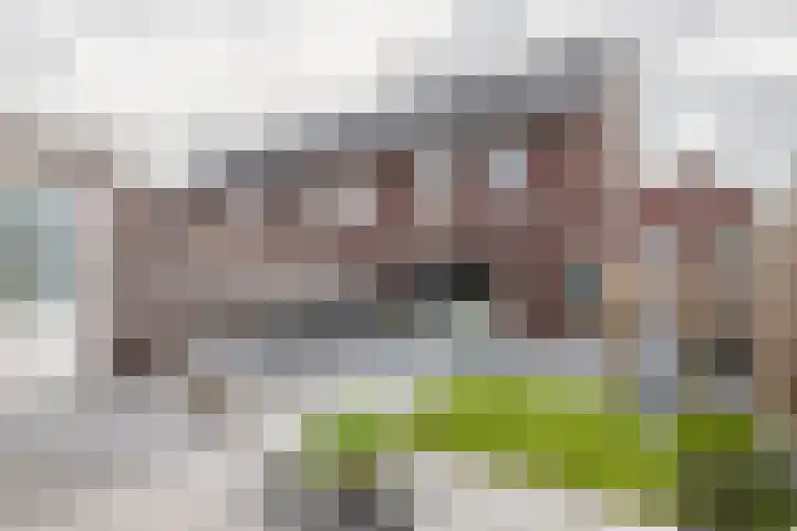 Ticheldreef 89 Druten foto 2