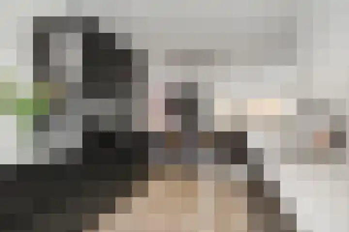 Ticheldreef 89 Druten foto 3