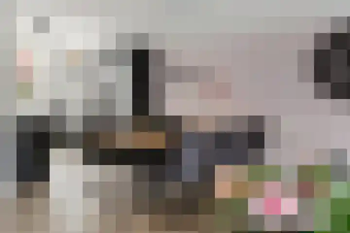Ticheldreef 89 Druten thumbnail 7
