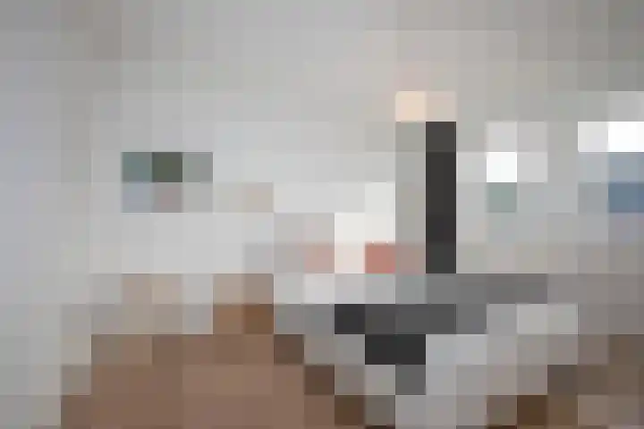 Tichelerhof 23 Enschede thumbnail 17