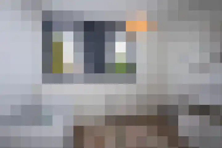 Tichelerhof 23 Enschede thumbnail 23