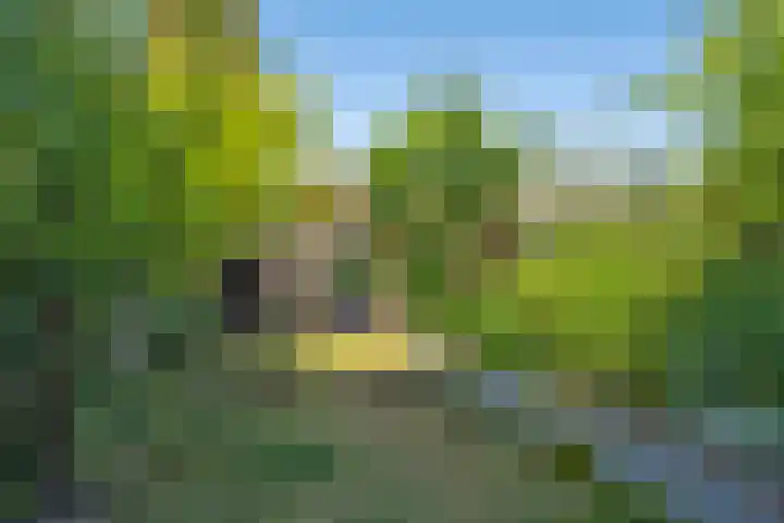 Tichelerhof 23 Enschede thumbnail 30
