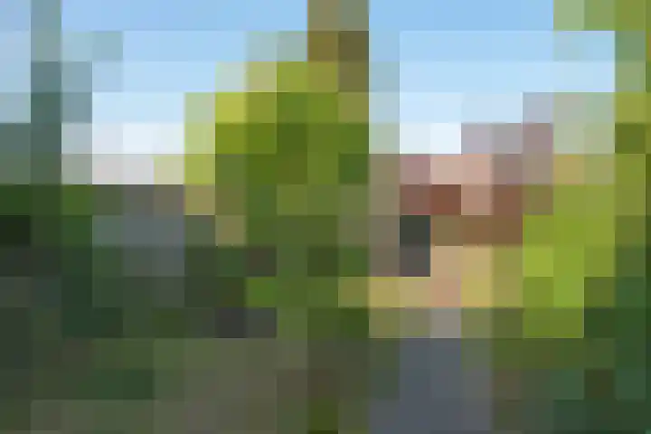 Tichelerhof 23 Enschede thumbnail 31