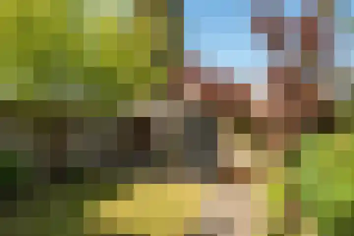 Tichelerhof 23 Enschede thumbnail 32