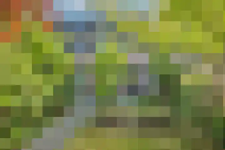 Tichelerhof 23 Enschede thumbnail 33