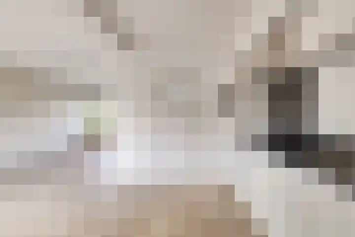 Tichelkamp 2 Burgum thumbnail 10
