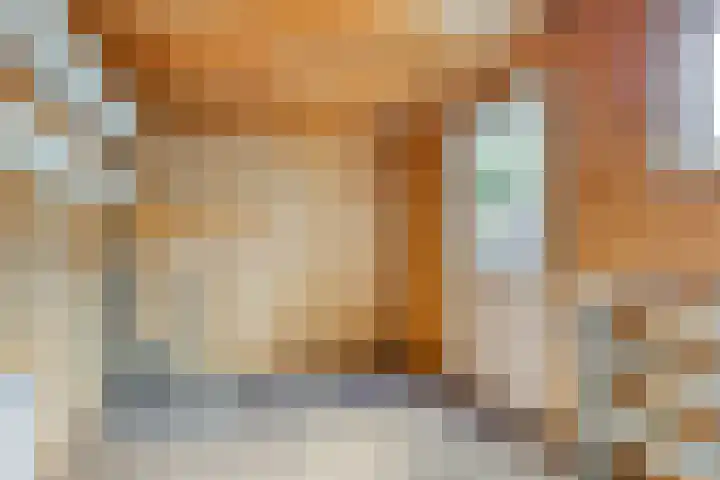 Tichelkamp 2 Burgum thumbnail 11