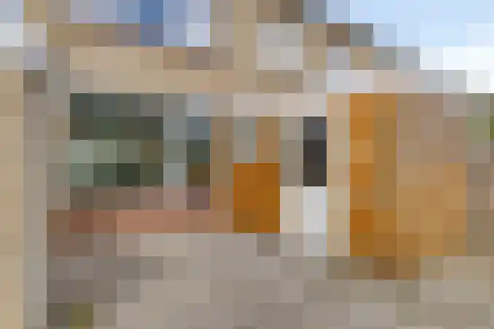 Tichelkamp 2 Burgum thumbnail 24