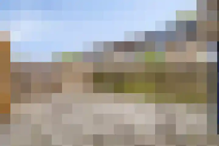 Tichelkamp 2 Burgum thumbnail 27
