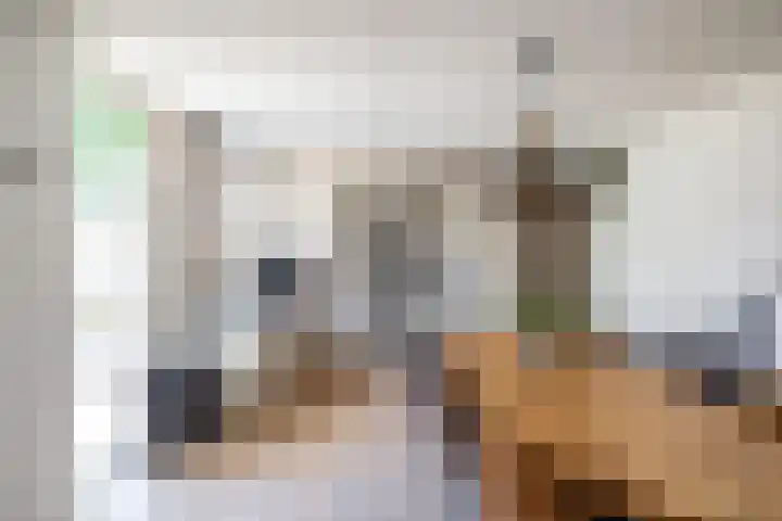 Tichelkampen 1 Assen thumbnail 15