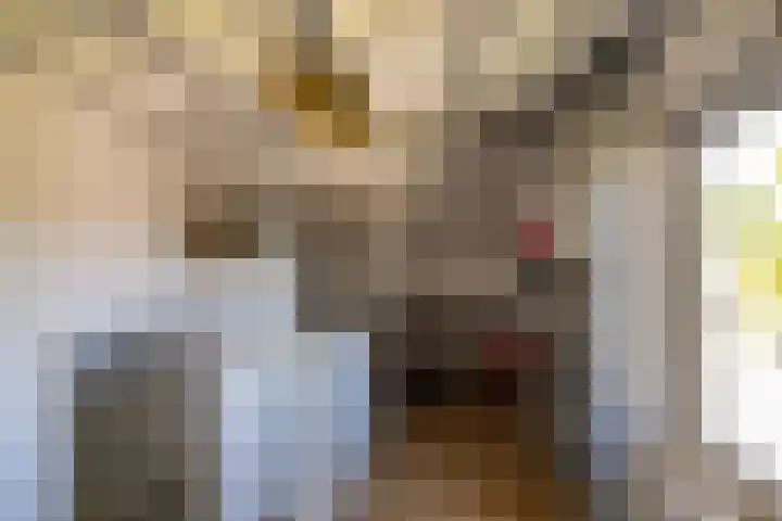 Tichelkampen 1 Assen thumbnail 32