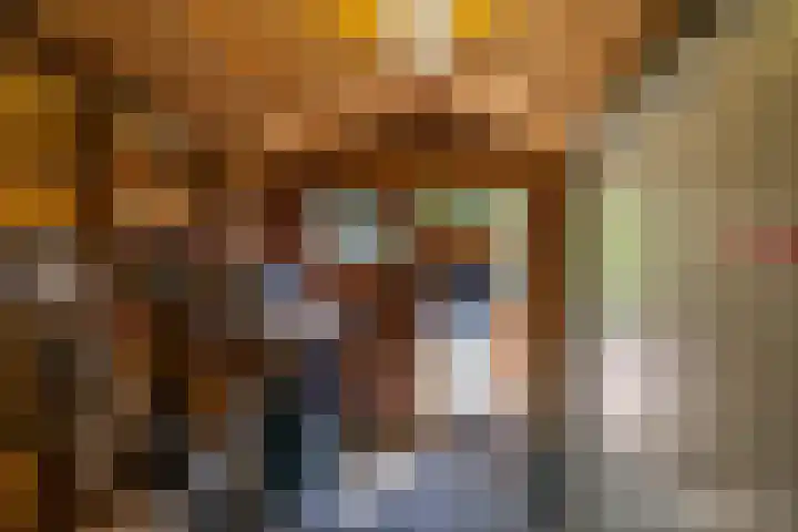 Tichelkampen 1 Assen thumbnail 40