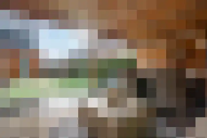 Tichelplaats 5 Appingedam thumbnail 61