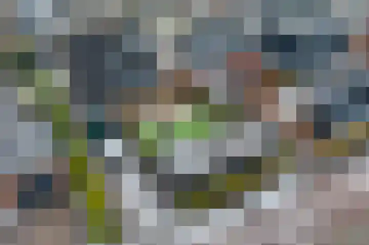 Tichelplaats 5 Appingedam thumbnail 64