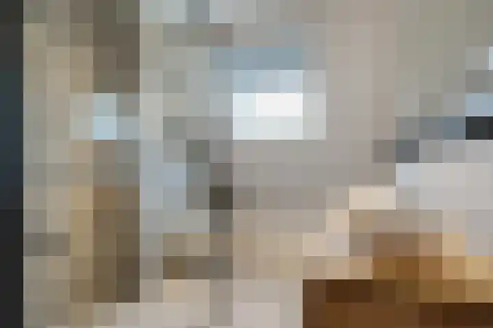 Tichelplaats 5 Appingedam thumbnail 8