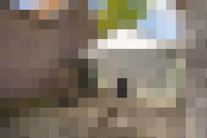 Tichelwei 13 Eastrum thumbnail 23