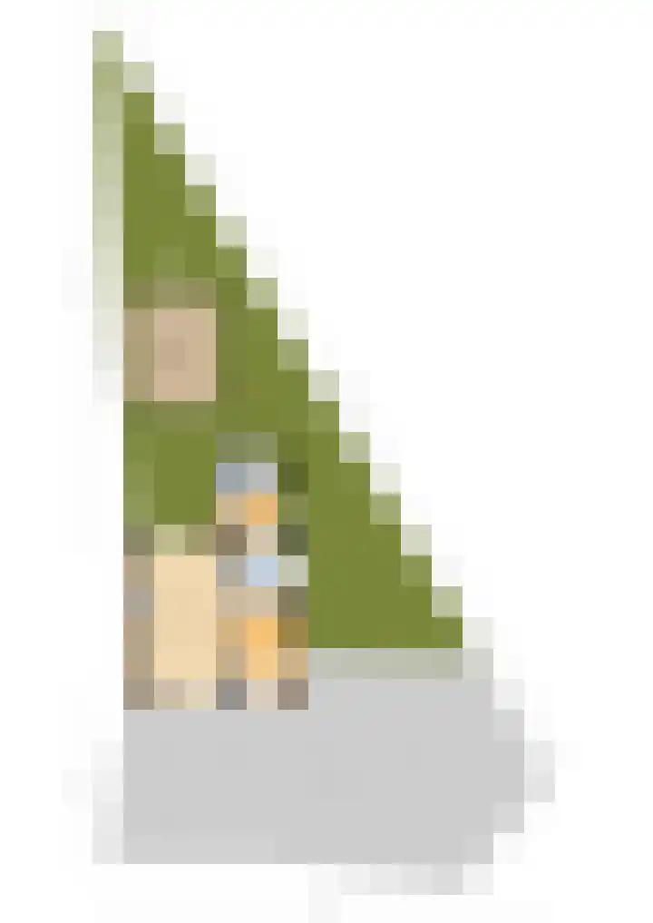 Tichelwei 13 Eastrum thumbnail 31