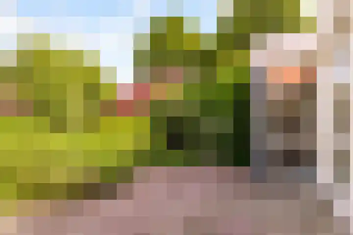 Tichelwurk 2 Franeker thumbnail 11