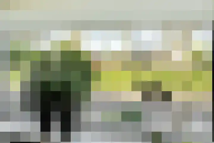 Tichelwurk 2 Franeker thumbnail 11