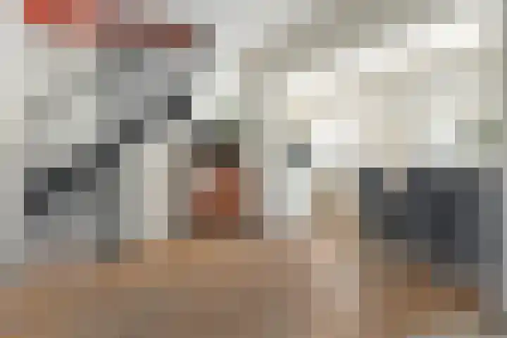 Tichelwurk 2 Franeker thumbnail 13