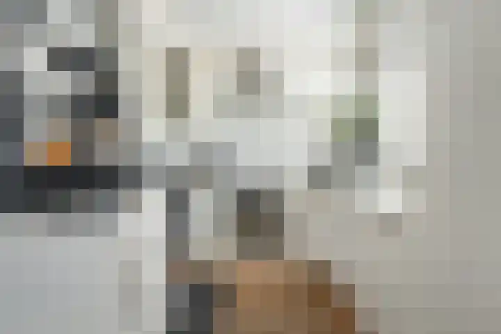 Tichelwurk 2 Franeker thumbnail 14