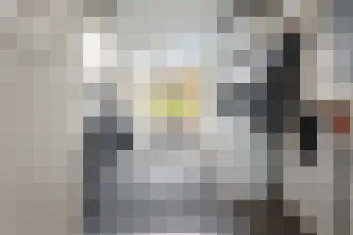 Tichelwurk 2 Franeker thumbnail 16
