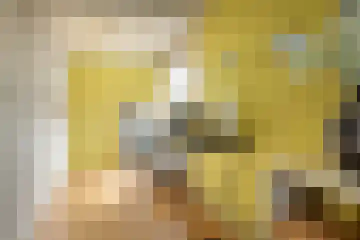 Tichelwurk 2 Franeker thumbnail 21