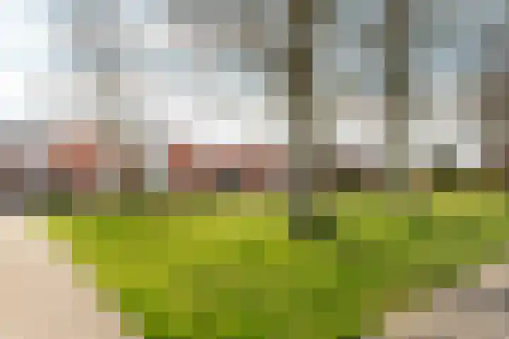 Tichelwurk 2 Franeker thumbnail 34