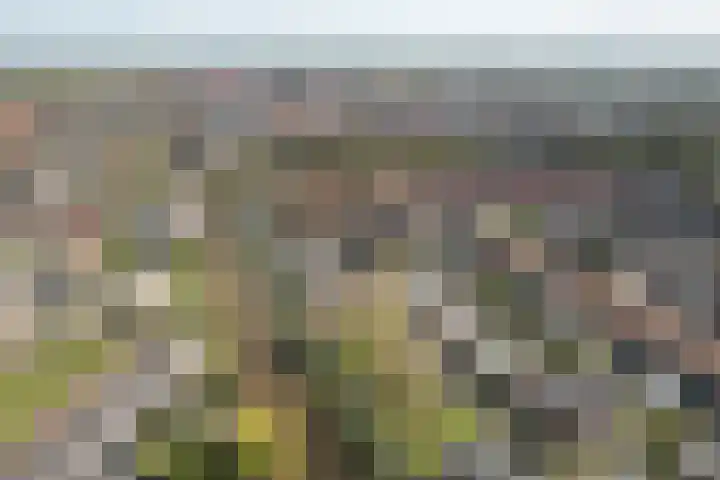 Tichelwurk 2 Franeker thumbnail 36